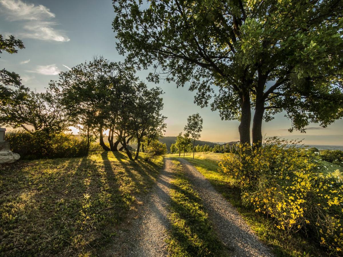 Parco Di Montebello Quattro Castella Kültér fotó